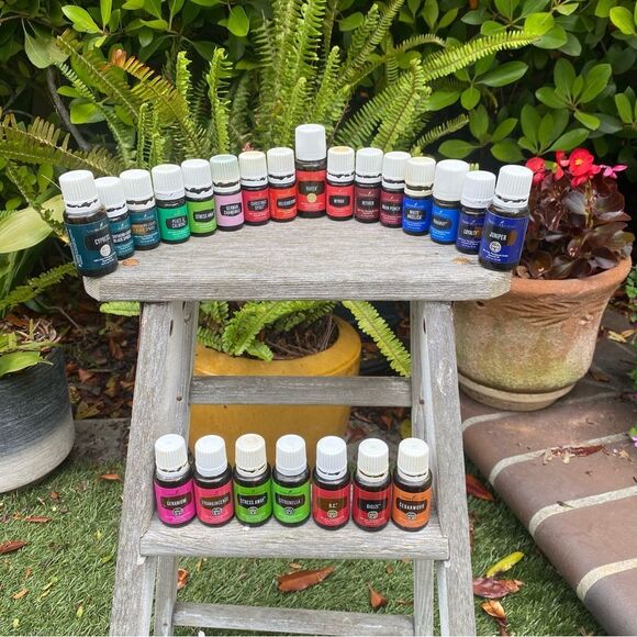 Lot of 25 Young Living Essential Oils & Abrazo Designs Diffuser Carrying Case - Picture 10 of 10